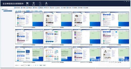 安企神信息安全管理軟件 V5.2 企業(yè)上網(wǎng)行為監(jiān)控與網(wǎng)絡安全的綠色守護者