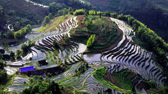 紫鵲界盛裝啟航，9月8日正式向游客開放，園區管理服務全面升級